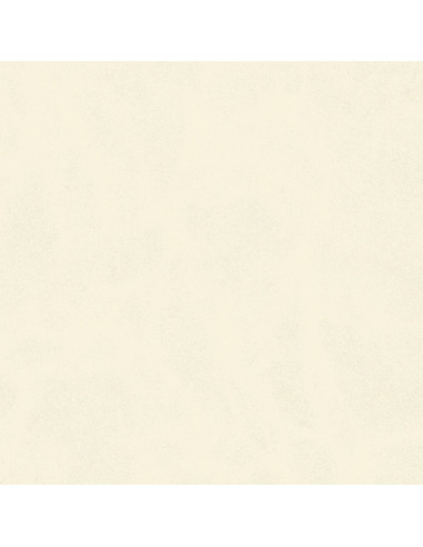 Century Calcio 60 X 60 R